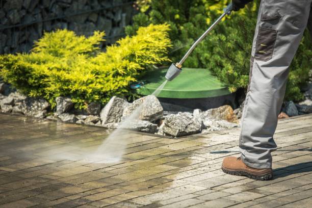 Best Warehouse Cleaning  in Marcus, IA