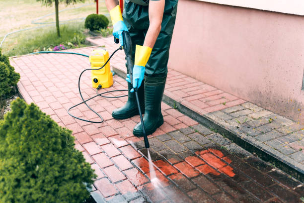 Best Animal Enclosure Cleaning  in Marcus, IA